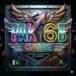 PK6 Game Image