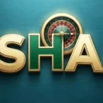 PkShaan Game Logo