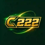 C222 Game Feature Image